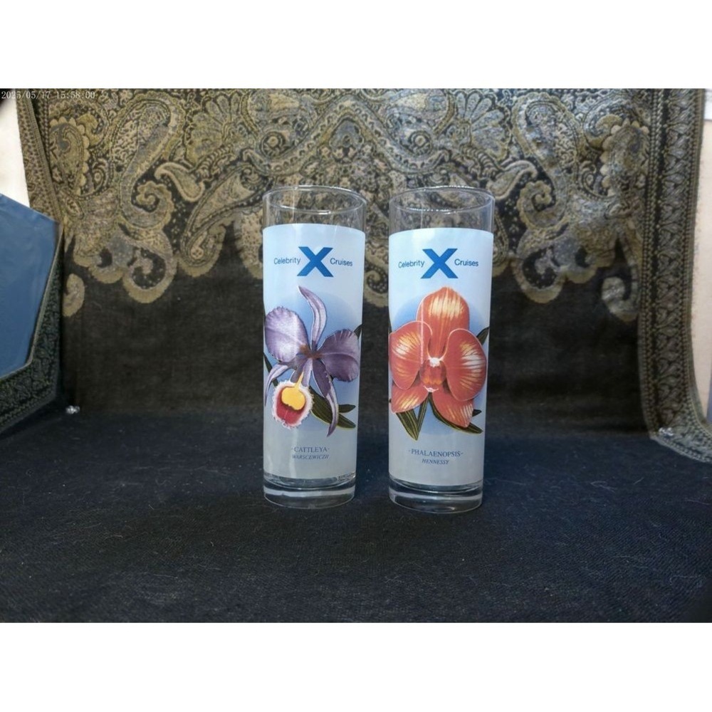 Frosted Cocktail Glasses‎ Celebrity Cruises Vintage Orchid Set Of 2 Glassware - Picture 3 of 11
